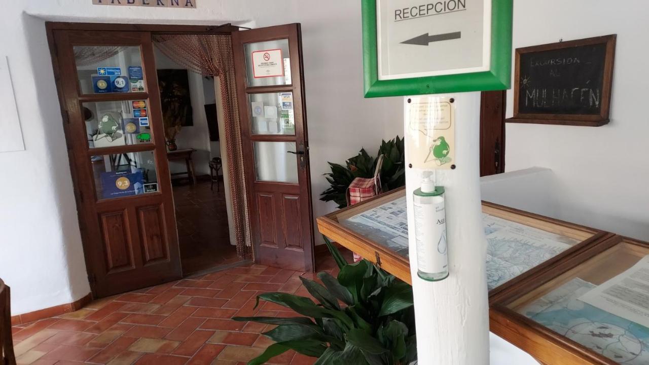 La Oveja Verde De La Alpujarra Pitres Exteriér fotografie