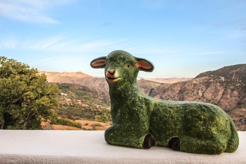 La Oveja Verde De La Alpujarra Pitres Exteriér fotografie